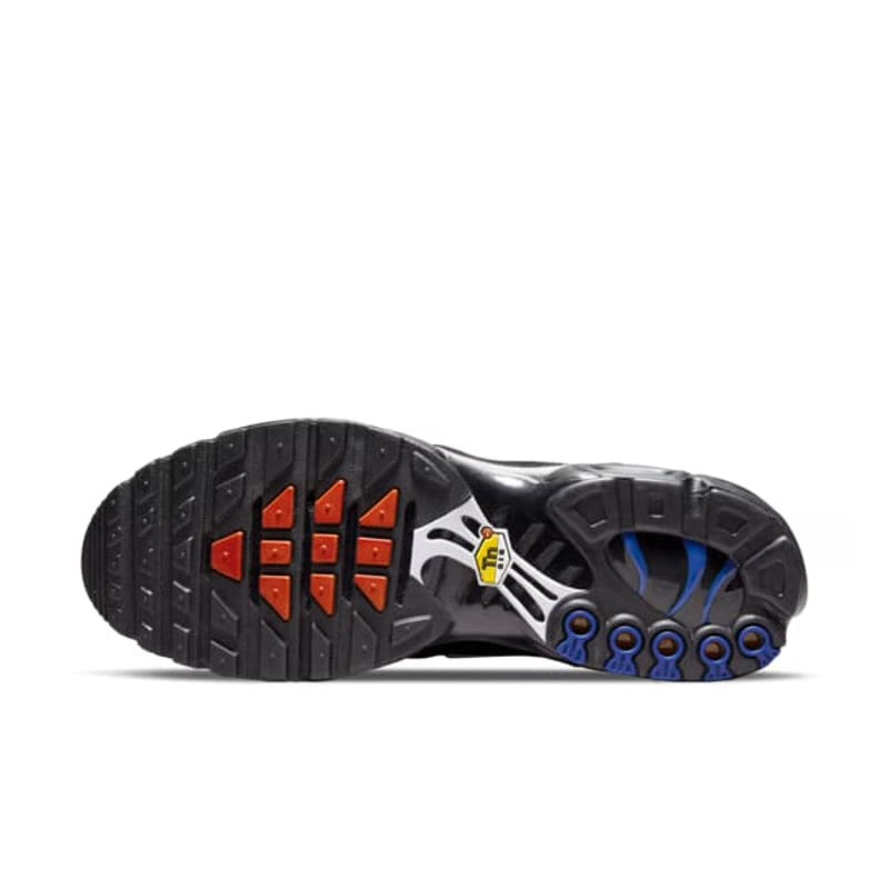 Nike Air Max Plus TN ‘’France”