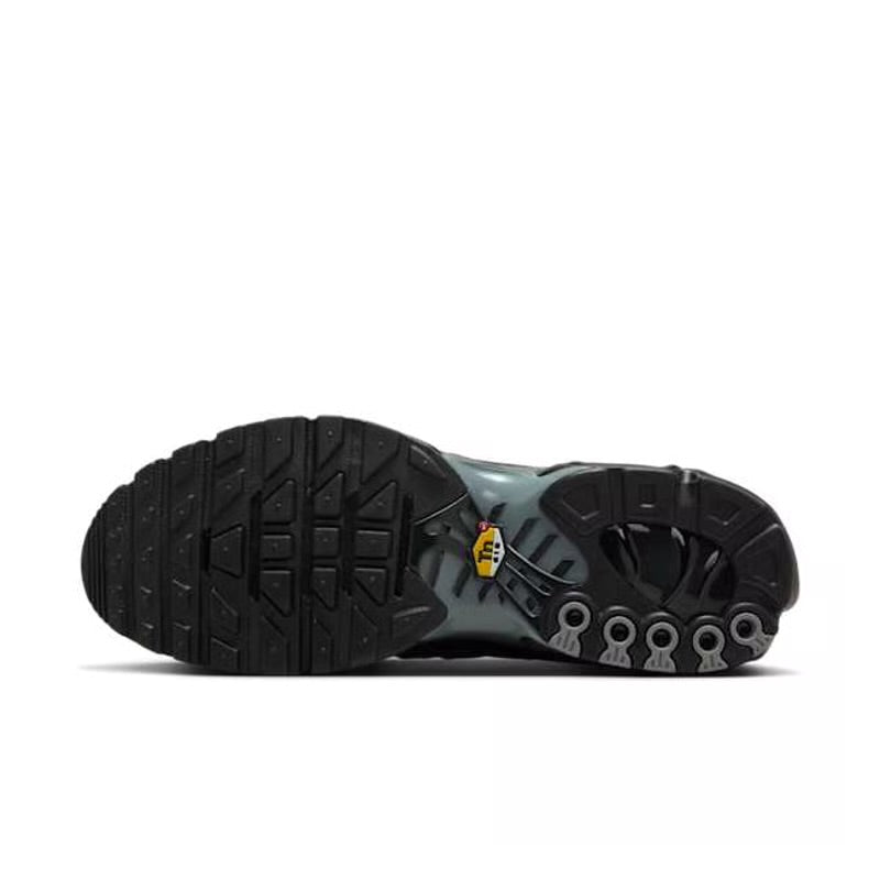 Nike Air Max Plus TN “Paris”