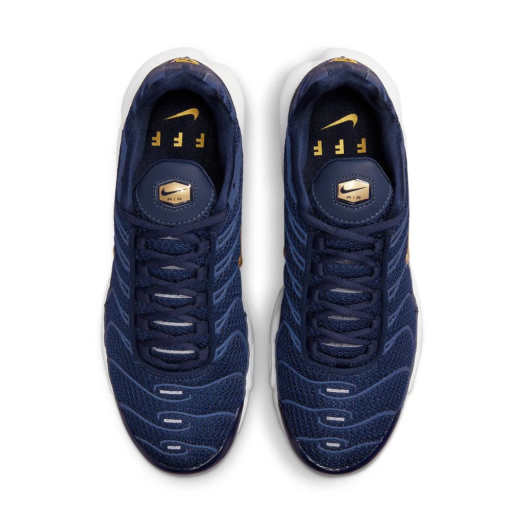 Nike Air Max Plus TN ''France''