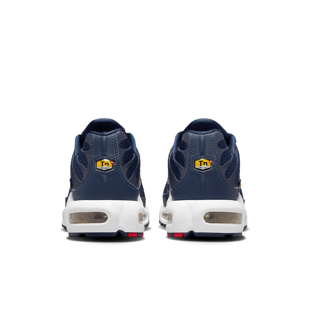 Nike Air Max Plus TN ''France''