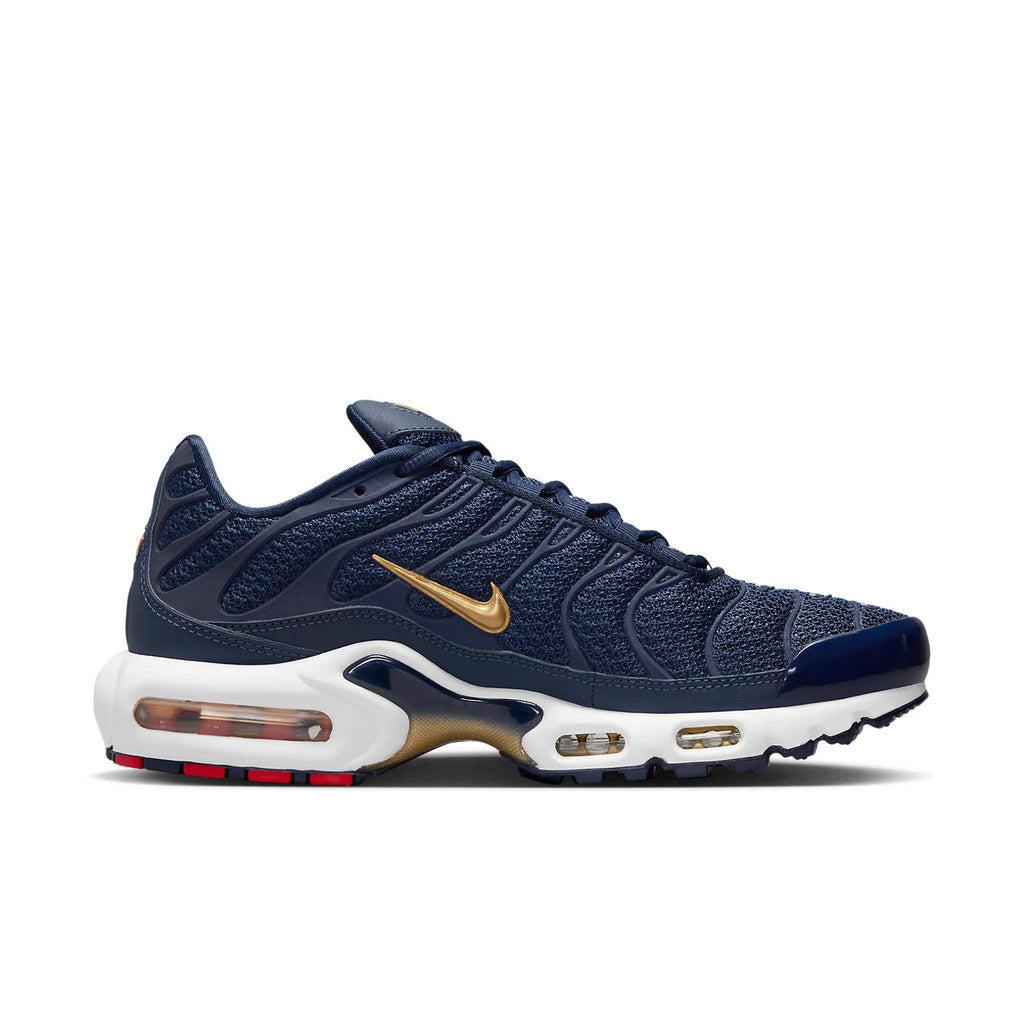 Nike Air Max Plus TN ''France''